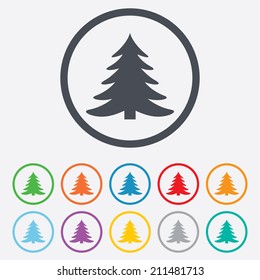 Christmas tree sign icon. Holidays button. Round circle buttons with frame. Vector