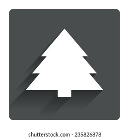 Christmas tree sign icon. Holidays button. Gray flat square button with shadow. Modern UI website navigation. Vector