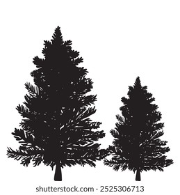 Christmas tree silhouette pine tree christmas black plant nature monochrome