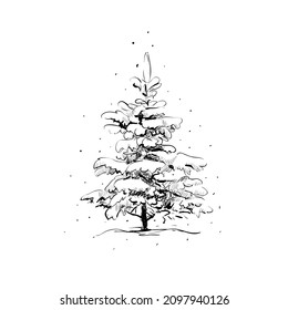 Christmas tree sketch. Spruce under snow