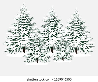 Christmas tree in snow
