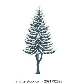 Christmas tree with snow. Fir and spruce trees with snowy branches in winter forest, isolated on white. Xmas and New Year holidays design