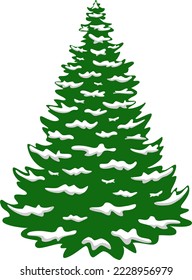 Christmas tree with snow on its branches. New year season. Holiday fir. Winter nature, forest. Vector illustration. Greeting invitation card design.