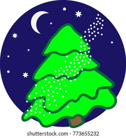 Christmas tree, spruce