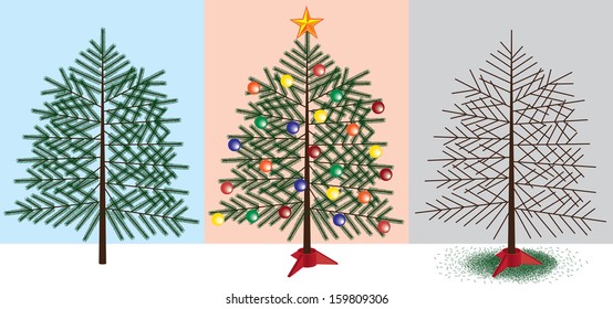 Christmas Tree stages