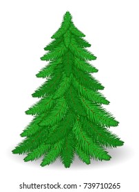christmas tree stock vector illustration isolated on white background