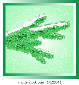Christmas tree twig in the snow, vector illustration, eps10