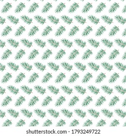 Christmas tree twig, texture on a transparent background vector print textile wrapper