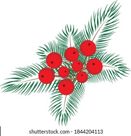 Christmas tree twigs and berries, bouquet, vector, graphic illustration