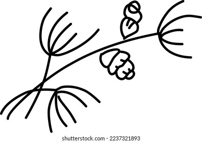 Christmas tree vector branch, fir and pine cones, evergreen set, holiday decoration, black winter symbols isolated on white background. Nature illustration