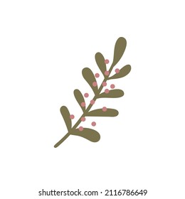 Christmas tree vector branch, holiday decoration, winter symbols isolated on white background.