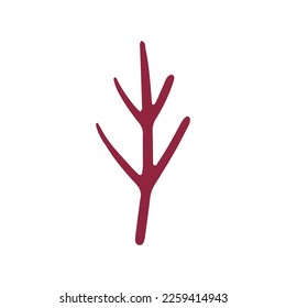 Christmas tree vector branch, holiday decoration, and winter symbols are isolated on white background.
