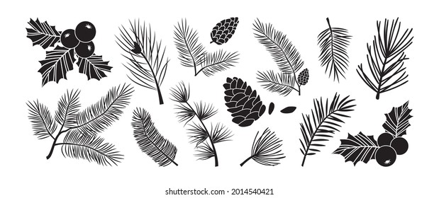 Christmas tree vector branches, fir and pine cones, evergreen set, holly berry icon, holiday decoration, black winter symbols isolated on white background. Nature illustration