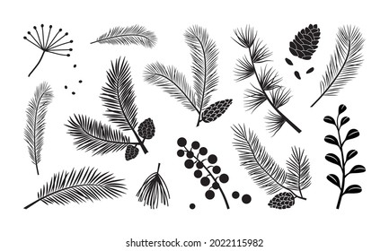 Christmas tree vector branches, fir and pine cones, evergreen set, holiday decoration, black winter plant, leaf and twig isolated on white background. Nature illustration