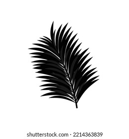 Ramas vectoriales de árboles de Navidad, decoración de vacaciones, símbolos negros de invierno aislados en fondo blanco. Ilustración de la naturaleza