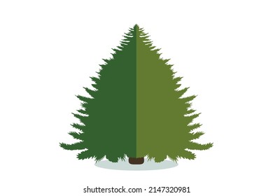 Christmas tree vector icon. Modern style fir symbol in color for holiday decoration, gift card design, celebration design element.