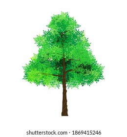 Christmas tree vector. Palm tree