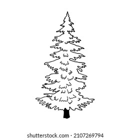 Árbol de Navidad. Ilustración de material vectorial eps10. Aislar sobre fondo blanco, contorno, dibujo a mano.