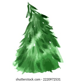 Christmas tree. Watercolor art. Vector evergreen tree illustration. Isolated new year