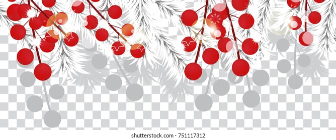 Christmas tree white branches with holly berries on a transparent background. Holidays decoration banner. Vector illustration.