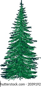 Christmas tree(fir)