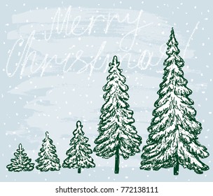 Christmas trees in December