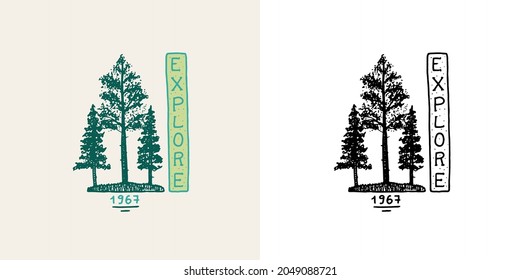 Christmas trees emblem. Explore badge. Fir forest. Engraved hand drawn in old vintage sketch. Doodle Wooden travel logo. Hiking sticker. 