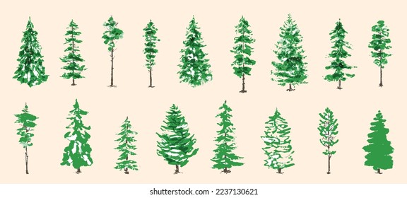 Christmas trees. Fir trees. Textured ink brush drawing. Vector illustration