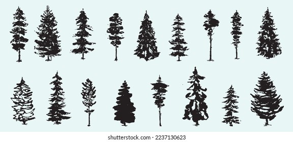 Christmas trees. Fir trees. Textured ink brush drawing. Vector illustration