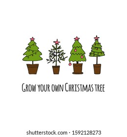 Christmas trees in a flower pot vector illustration. Grow your Christmas tree text. Design element for saving trees companies.