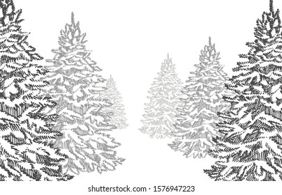 Christmas trees. New year and Christmas design elements. Greeting card invitation with xmas graphic. Vintage illustration.