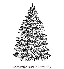 Christmas trees. New year and Christmas design elements. Greeting card invitation with xmas graphic. Vintage illustration.