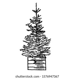 Christmas trees. New year and Christmas design elements. Greeting card invitation with xmas graphic. Vintage illustration.