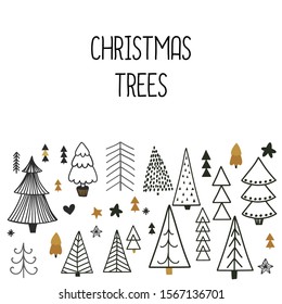 Christmas trees, Scandinavian trees background with copy space