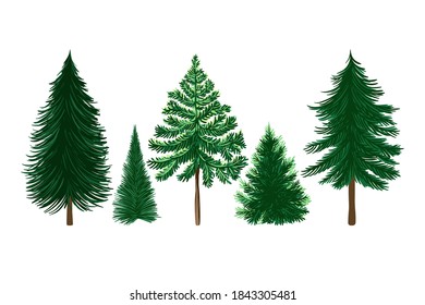 
  Christmas trees set. Cartoon vector illustration.
 Isolated design objects on a white background. Clipart.
 