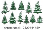 Christmas trees set emblems colorful with different types of fir and coniferous trees covered with snowdrifts vector illustration