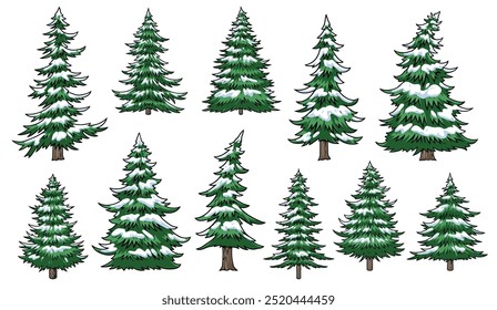 Christmas trees set emblems colorful with different types of fir and coniferous trees covered with snowdrifts vector illustration