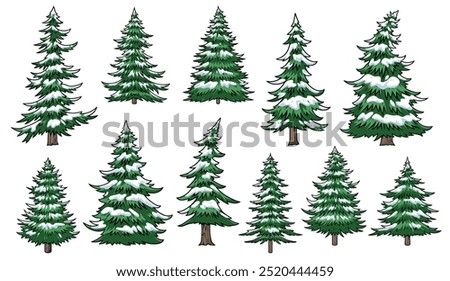 Similar – Image, Stock Photo Coniferous trees in a forest on the coast In black and white