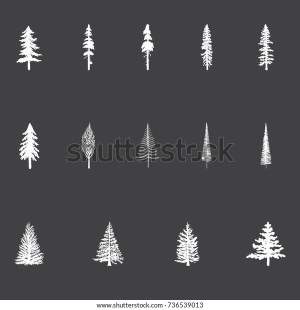 Christmas Trees - Set of vector\
Christmas Trees in a chalkboard style. Pine trees, Douglas\
Fir.\
