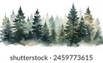 Christmas trees Vector watercolor illustration,Forest, fir trees, pine trees, woods watercolor illustration,festival set	
