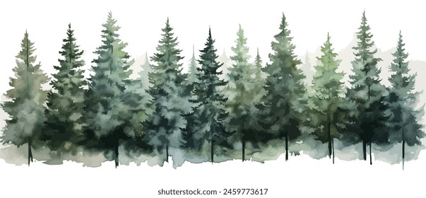 Christmas trees Vector watercolor illustration,Forest, fir trees, pine trees, woods watercolor illustration,festival set	