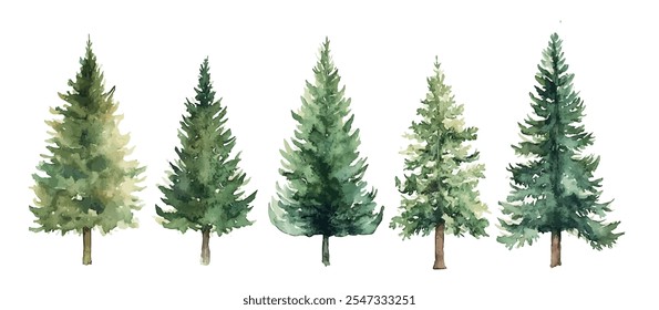 Christmas trees Vector watercolor illustration,Forest, fir trees, pine trees, woods watercolor illustration,festival set
