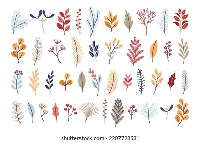 Diablos de Navidad. Elementos decorativos dibujados a mano. Colección de vegetación de invierno para la decoración. Ilustración del vector