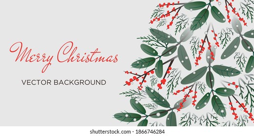 Christmas vector background with branches of conifers and red ilex berries good for winter holidays banners