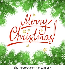 Christmas vector background with fir twigs, christmas tree branches border