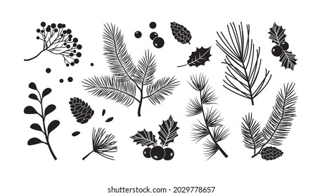 Christmas vector branches, tree, fir and pine cones, evergreen set, holiday decoration, black winter plant, leaf and twig isolated on white background. Nature illustration