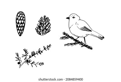 Christmas vector by hand cone branch bird nature winter linear art