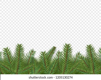 Christmas vector decorations. Border with evergreen pine branches isolated on  transparent background