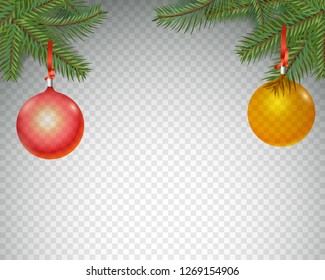 Christmas vector decorations. Evergreen pine branches with color baubles isolated on 
transparent 