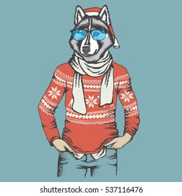 Christmas vector dog concept. Husky vector illustration. Dog in human sweatshirt and Santa hat